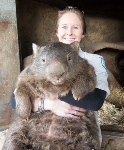 cool-giant-wombat-girl